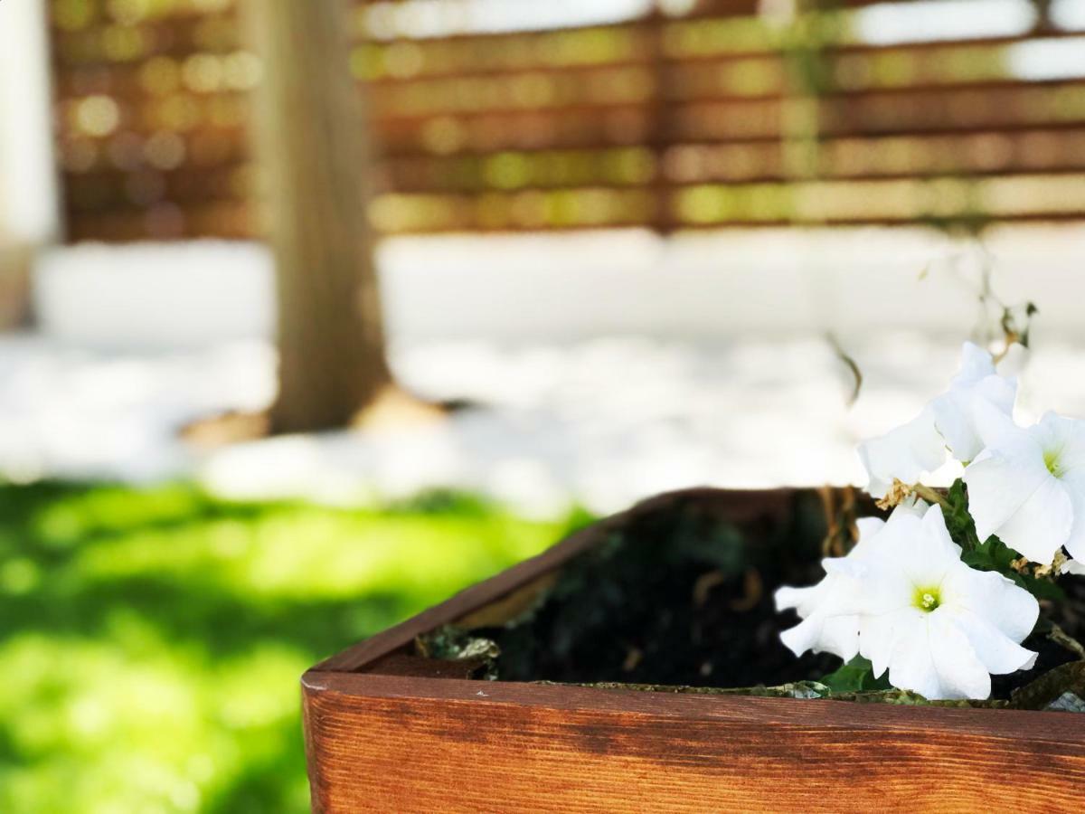 Villa Vave Nea Iraklia Buitenkant foto